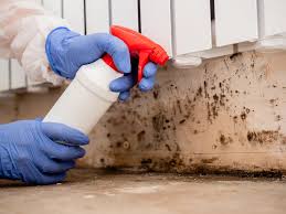 Mold Documentation for Insurance Claims in Whiteman Af, MO